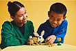 ����������� LEGO reator ��������� ���������� (31162)