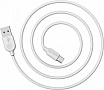 ���� ������ USB 2.0 AM to USB-C 3.0m 2.4A BX14 white BOROFONE (6957531090397)