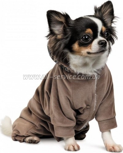  Pet Fashion Soft S  (4823082427895)