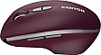 ����� Canyon MW-21 Blue LED Burgundy (CNS-CMSW21BR)