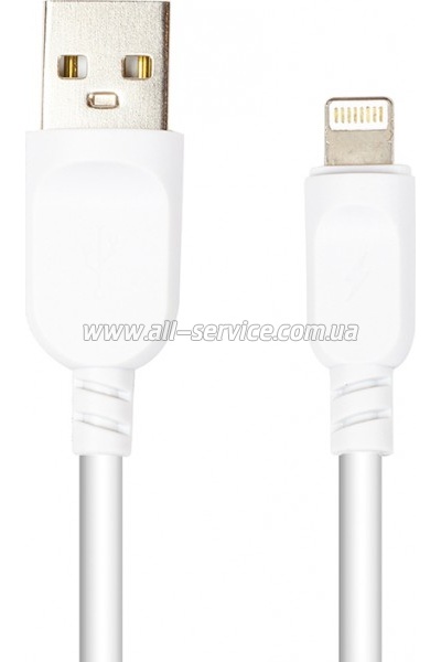 ���� ������ USB 2.0 AM to Lightning 1.0m PowerPlant (CA911196)