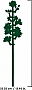  LEGO Iconic   (40725)
