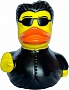    Funny Ducks  One (1324)