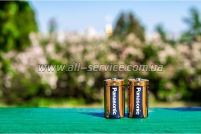 ��������� Panasonic D LR20 Alkaline Power * 2 (LR20REB/2BP)