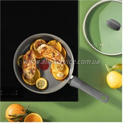 �������� Tefal Renewal 24�� (C4263243)