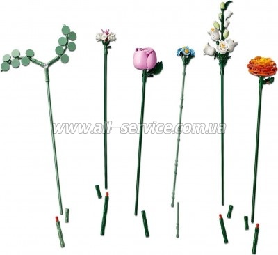 ����������� LEGO Botanicals ����� ������� ����� ������ (10342)
