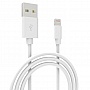   USB 2.0 AM to Lightning 1.0m Cu, 2.1 White Grand-X (PL01W)