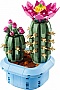 ����������� LEGO Botanicals ������ ������� (11509)