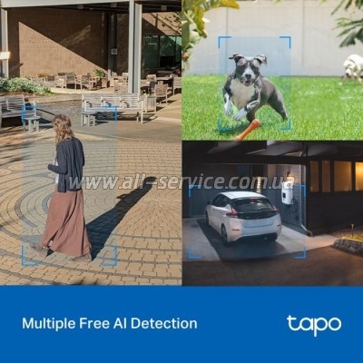   TP-Link TAPO-C520WS