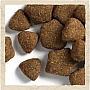     Purina Dog Chow Adult Lamb    2.5  (7613034485946)