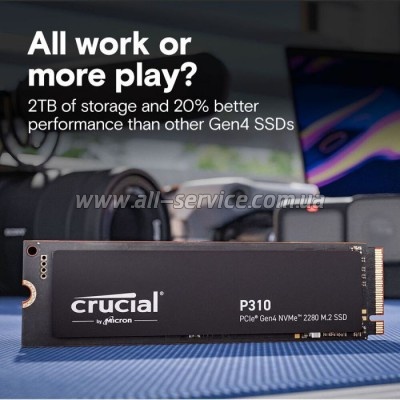  SSD M.2 2280 1TB P310 Micron (CT1000P310SSD8)