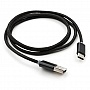   USB 2.0 AM to Type-C 1m LED black Vinga (VCPDCTCLED1BK)