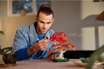 ����������� LEGO Botanicals ������ �� ��������� �������� ����� (10348)