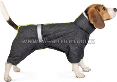  Pet Fashion 