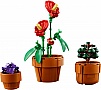  LEGO Icons   758  (10329)
