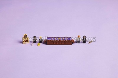  LEGO Harry Potter  :   (76441)
