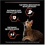    Purina Pro Plan Original   400  (7613036545037)