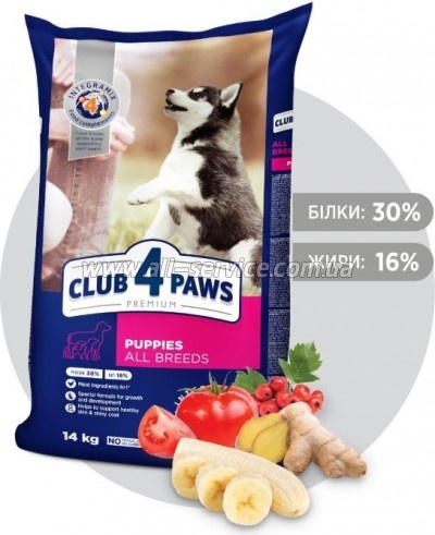     Club 4 Paws        14 (4820083909696/ 4820215368476)