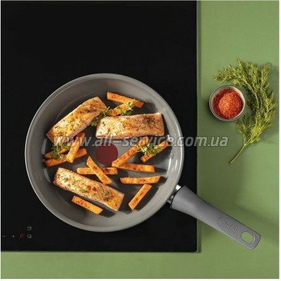 ��������� Tefal Renewal 24�� (C4260443)