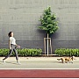    Collar  WAUDOG R-leash   XS-M  40  2.9   (81277)