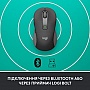  Logitech Signature M650 Wireless for Business Graphite (910-006274)