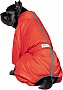  Pet Fashion Cold S  (4823082426072)